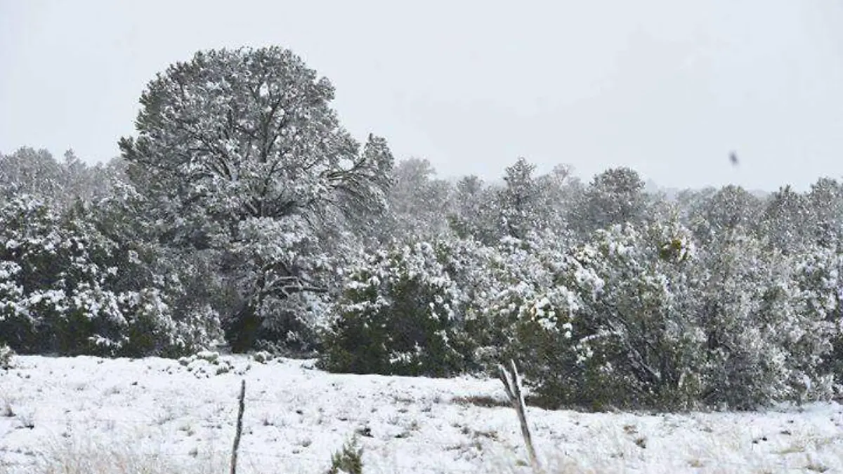 Nevada en Rumorosa